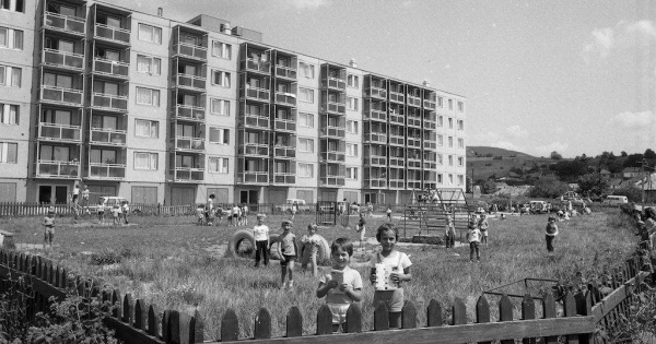 Úgy viszik a panellakásokat, mint a cukrot
