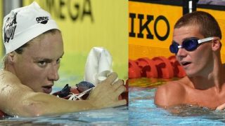 Áll a bál Darnyi Tamás és Hosszú Katinka között