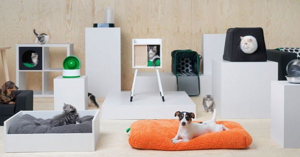 Az IKEA valóra váltotta a kutyások és macskások álmát