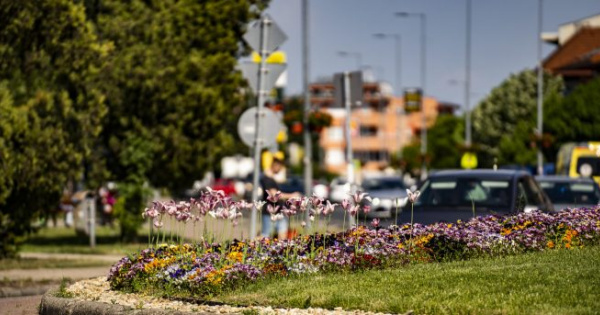 Megmozdult az ingatlanpiac Érden is: ezek a lakások kelnek el a leggyorsabban