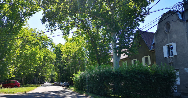 Melyek most a legkeresettebb ingatlanok?