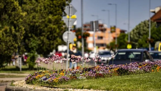 Megmozdult az ingatlanpiac Érden is: ezek a lakások kelnek el a leggyorsabban